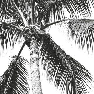 Retro Palm
