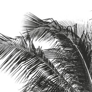 Retro Palm