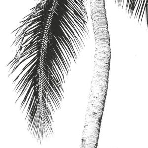 Retro Palm