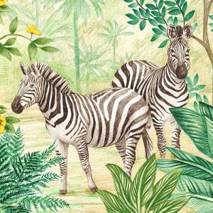 Jungle Adventure