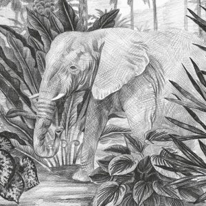 Jungle Evolution