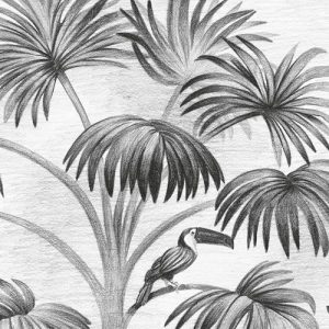 Jungle Evolution