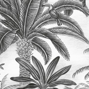 Jungle Evolution