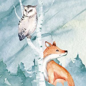 Animal Sleepover