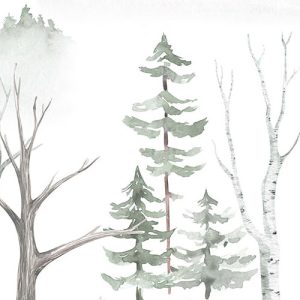 Cozy Woods