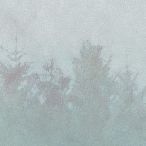 Hazy Hush