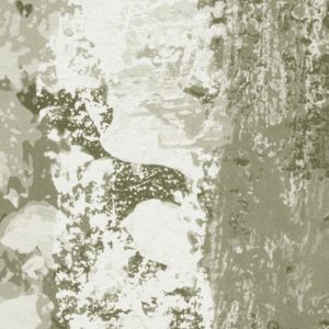 Fading Forest