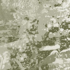 Fading Forest