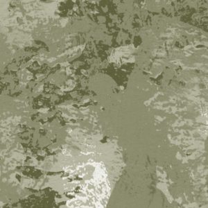 Fading Forest