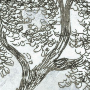 Rising Roots