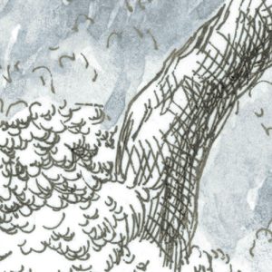 Rising Roots