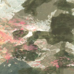 Harmonic Homeland