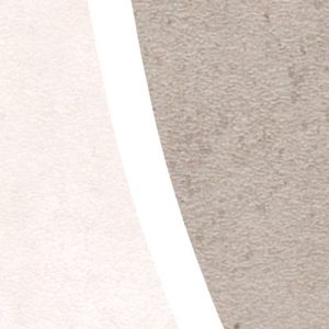 Paradox Pristine