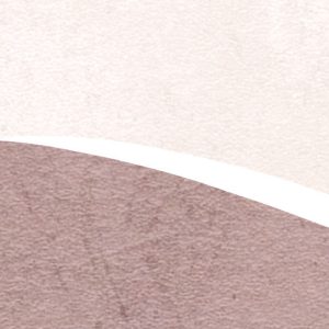 Paradox Pristine