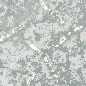 Obfuscated Ornament