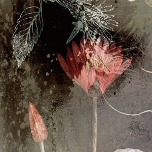 Night Flowers