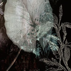 Night Flowers