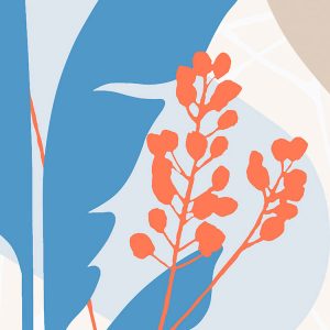Tropical Shapes