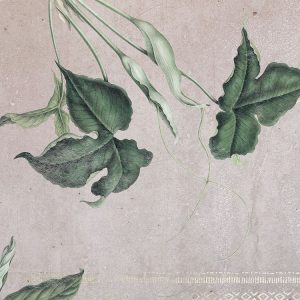 Tropic Concrete