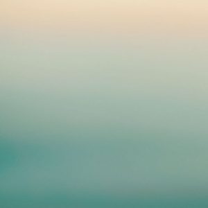 Ocean Sense