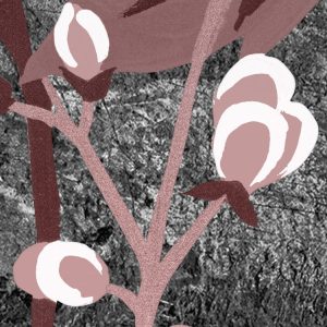 Moonlight Flowers