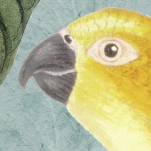 Birds and Berries