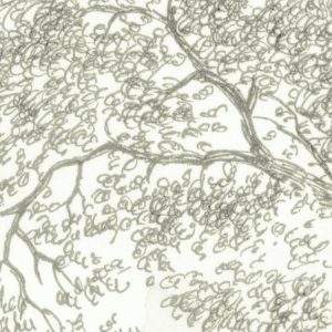 Noble Trees