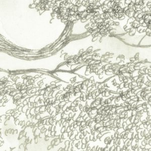 Noble Trees