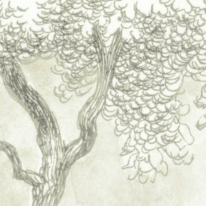 Noble Trees