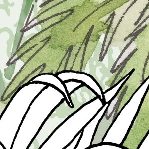 Hortus