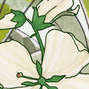 Hortus