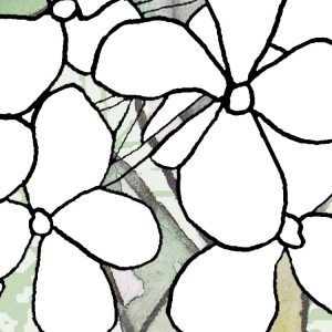Hortus