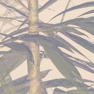 Bamboo Paradise