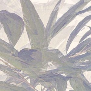 Bamboo Paradise