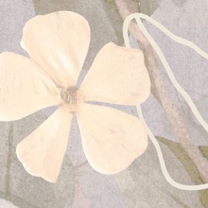 Endless Spring