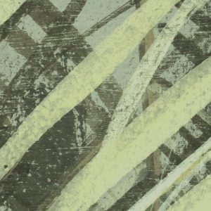 Palm Fronds