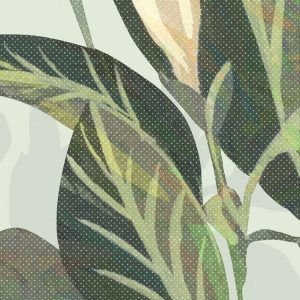 Hay Meadow