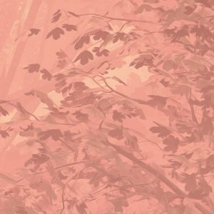 Heartwood