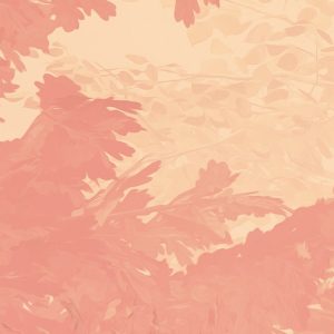 Heartwood