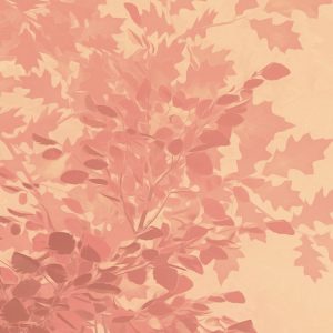 Heartwood