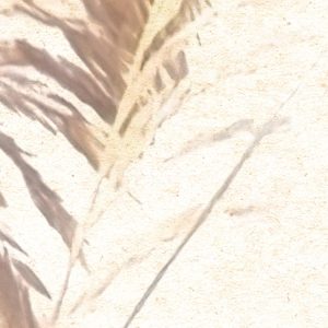 Dune Grass