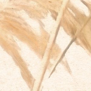 Dune Grass
