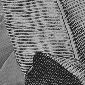 Amazonia Black & White