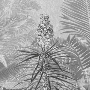 Amazonia Black and White