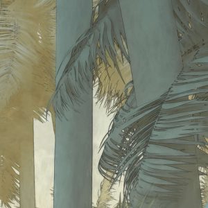 Misty Jungle