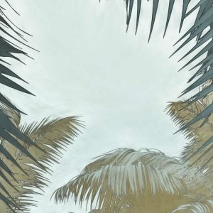 Misty Jungle