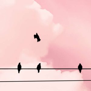 Cloud Wire