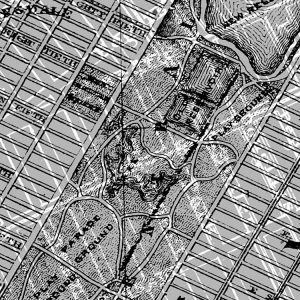 NYC Map