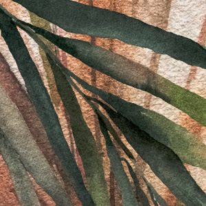 Jungle Spot