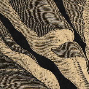 En Detail